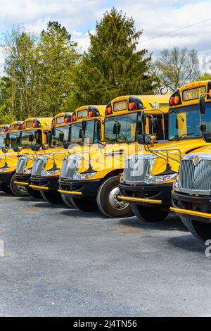 Rothsville, PA, USA - 17 aprile 2022: Una flotta di autobus gialli da scuola parcheggiati in un villaggio rurale nella contea di Lancaster, Pennsylvania. Foto Stock