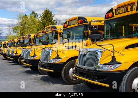 Rothsville, PA, USA - 17 aprile 2022: Una flotta di autobus gialli da scuola parcheggiati in un villaggio rurale nella contea di Lancaster, Pennsylvania. Foto Stock