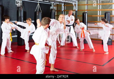 Ragazzi che lavorano in coppia, padroneggiare i calci in classe karate Foto Stock