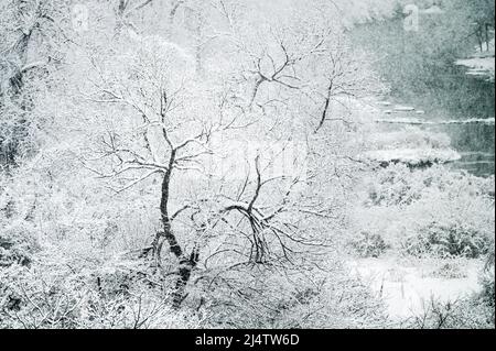 Un piccolo fiume si snodano durante una tempesta di neve in Vermont, New England, USA. Foto Stock