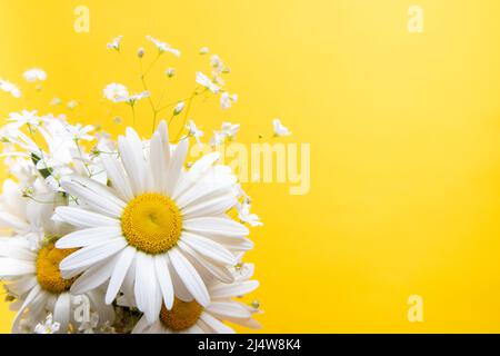 Composizione di fiori. Fiori di camomilla su sfondo giallo. Primavera, estate concetto. Vista dall'alto, spazio per copiare. Foto Stock