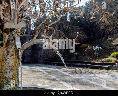 Torino, Italia - 19 marzo 2022: La Fontana del Pomegranato nel borgo medievale. Foto Stock