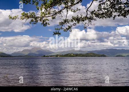 Vista sul Loch Lomond da Duck Bay, Scozia Foto Stock