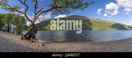 Vista panoramica del Loch Lomond da Firkin Point, Scozia Foto Stock