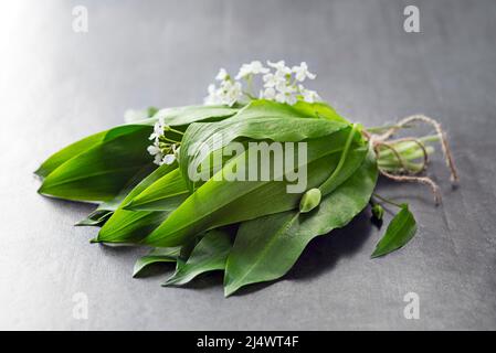 Ramson, mazzo di aglio selvatico su sfondo grigio primo piano Foto Stock