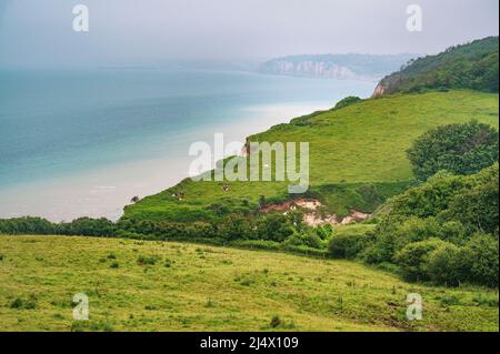 La costa alabastro della Normandia a Varengeville-sur-Mer, Francia Foto Stock