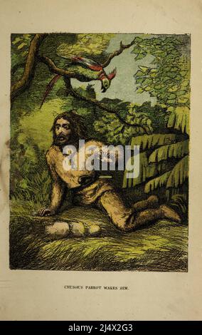 Il Parrot di Crusoe lo sveglia dal libro The life and Adventures of Robinson Crusoe di Daniel Defoe, illustrato a colori da EDWARD H. WEHNERT. Editore Boston (Franklin e Hawley Streets) : D. Lothrop and Company 1884 Foto Stock