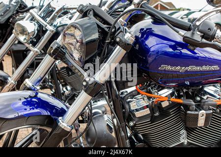 Una linea di Harley Davidsons parcheggiato Foto Stock