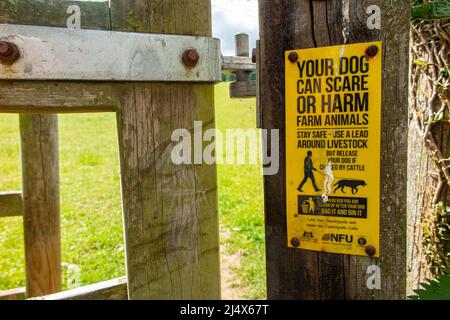 Un segno in Oxfordhire avvertimento che il vostro cane può spaventare o danneggiare animali da fattoria Foto Stock