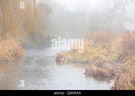 Una giornata di nebbia e il fiume Lea in Hertfordshire in inverno Foto Stock