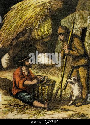 Crusoe Harvesting dal libro The life and Adventures of Robinson Crusoe di Daniel Defoe, illustrato a colori da EDWARD H. WEHNERT. Editore Boston (Franklin e Hawley Streets) : D. Lothrop and Company 1884 Foto Stock