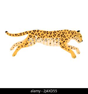 leopardo piano vettoriale Illustrazione Vettoriale