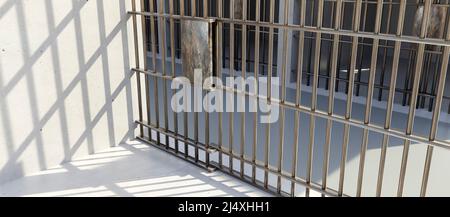 Cella della prigione, vista dall'interno al corridoio della prigione, porta con barre di acciaio bloccata, parete e pavimento in cemento, prigione interno. Convinzione e incarcerazione, 3 Foto Stock