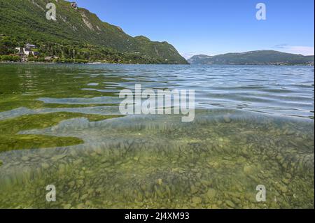 Lac du Bourget, il più grande lago delle Alpi francesi, a le Bourget-du-Lac, Francia Foto Stock