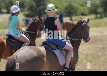 Tour a cavallo in una giornata estiva soleggiato, due ragazzi una ragazza e un ragazzo a cavallo camminano lungo una strada forestale, una vista dal retro. Foto Stock