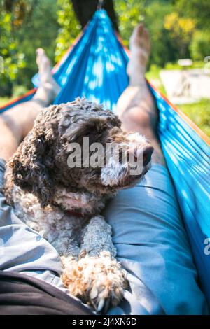 uomo e cane rilassarsi in amaca Foto Stock