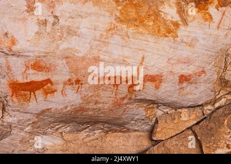 L'arte rupestre di San è gravemente erosa nelle montagne di Cederberg nel Capo Occidentale. Sudafrica Foto Stock