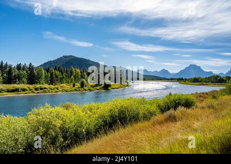 Il serpente fiume serpente nel Grand Teton National Park, Wyoming Foto Stock