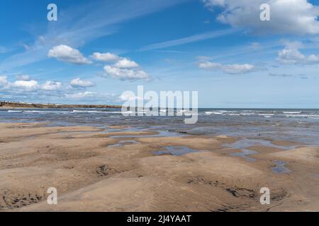 Vista sul mare a Cambois Beach, Blyth, Northumberland, Regno Unito. Foto Stock