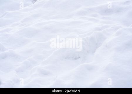 Neve bianca in una giornata invernale gelida, primo piano. Sfondo naturale. Foto di alta qualità Foto Stock