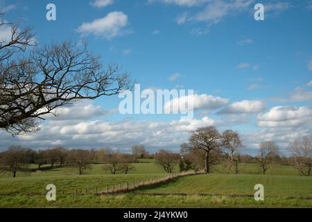 Guardando verso il villaggio di Cheshire di Church Mershull dal ramo di Middlewich del canale Shropshire Union, NW UK Foto Stock
