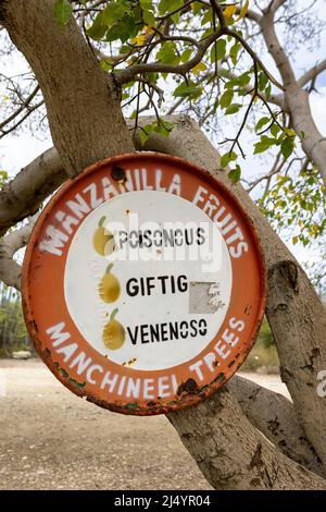 Cartello segnaletico Manchineel Trees a Playa Jeremi sull'isola caraibica di Curacao Foto Stock