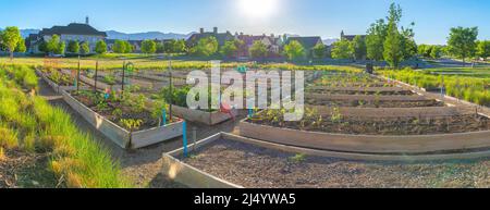 Giardino comunitario nel mezzo di un campo con alberi a Daybreak, South Jordan, Utah Foto Stock
