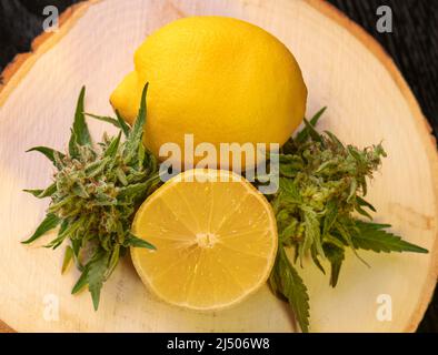 Primo piano di germogli e limoni di Cannabis freschi, concetto di cucina di cannabis Foto Stock