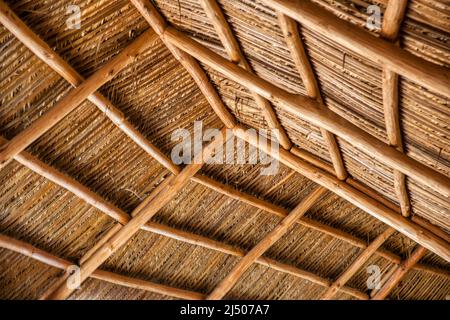 Dettaglio del tetto di paglia di una capanna nel cortile tropicale di Schnebly’s, la cantina più meridionale degli Stati Uniti, situata nell’agricoltura Foto Stock