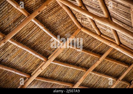 Dettaglio del tetto di paglia di una capanna nel cortile tropicale di Schnebly’s, la cantina più meridionale degli Stati Uniti, situata nell’agricoltura Foto Stock