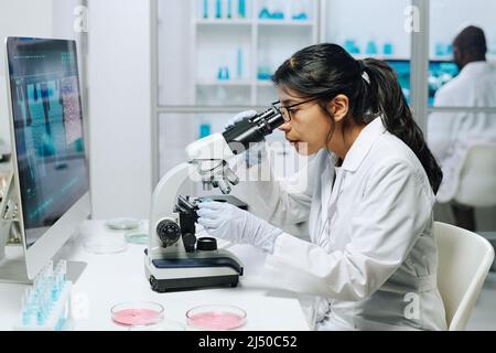 Vista laterale del biochimico femminile in whitecoat, guanti e occhiali guardando al microscopio mentre studiano il virus in laboratorio Foto Stock