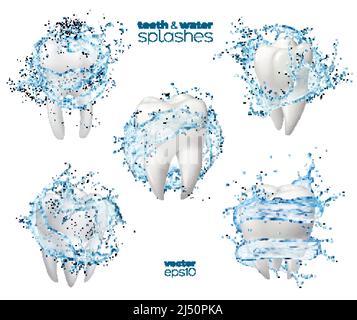 Sciacquare la bocca, lavare i denti con acqua fredda, igiene dentale e cura. Isolato vettore bianco dente sano con onda liquida rotonda o vortice con spruzzi, 3D annunci per la salute orale Illustrazione Vettoriale