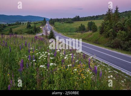 Pittoresco crepuscolo Giugno Carpazi montagna campagna prati e autostrada. Abbondanza di vegetazione e bellissimi fiori selvatici. Foto Stock