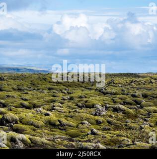 Scenografici campi di lava verdi autunnali vicino al canyon di Fjadrargljufur in Islanda. Muschio verde sulle pietre di lava vulcanica. Campi di lava unici dopo Laki volc Foto Stock