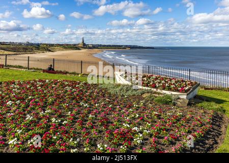 Guardando a nord dai aiuole di fiori di Sharpness Point con la vista su Long Sands Beach verso Cullercoats, Tynemouth. In una brillante giornata di primavera. Foto Stock