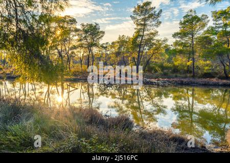Vista panoramica dal Parco Nazionale di Divjaka - Karavasta in Albania Foto Stock
