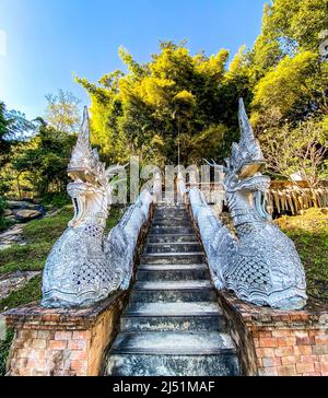 Wat Pha Lat o Wat Palad, antico tempio nella giungla, Chiang mai, Thailandia Foto Stock