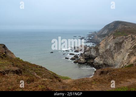 Vista sul mare dal Chimney Rock Trail a Point Reyes National Seashore, Marin County, California, USA, in una giornata poco nuvolosa con bassa marea, featurur Foto Stock