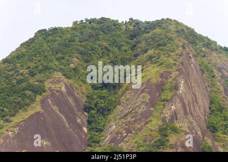 collina di capre nel quartiere Copacabana a Rio de Janeiro. Foto Stock