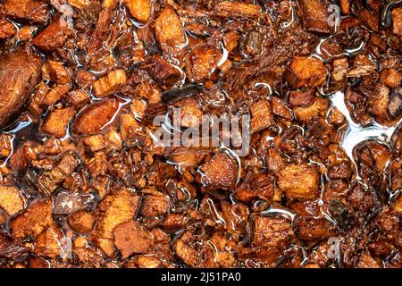 Bucce di cocco tritate imbevute in acqua per preparare per uso come materiale di piantatura Foto Stock