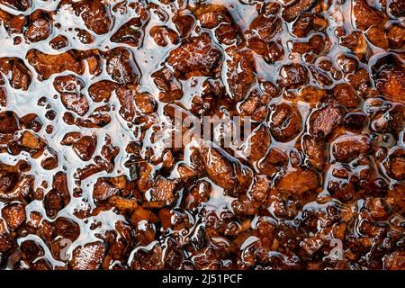 Bucce di cocco tritate imbevute in acqua per preparare per uso come materiale di piantatura Foto Stock