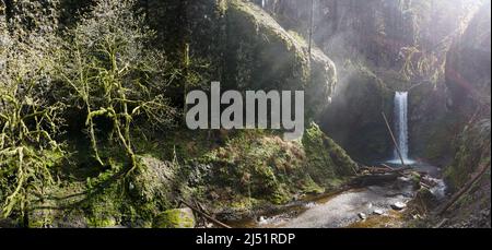 La luce del sole illumina una cascata misteriosa e panoramica che si tuffa in un canyon verde e coperto di muschio nell'Oregon. Foto Stock