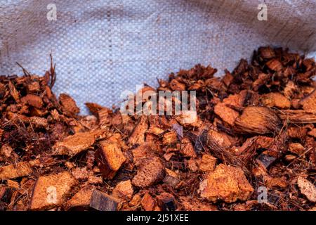 Bucce di cocco tritate per uso come materiale di piantatura Foto Stock