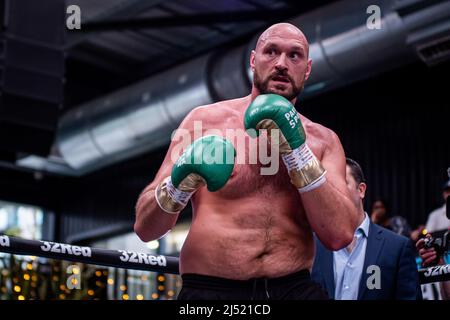 LONDRA, INGHILTERRA - APRILE 19: Tyson Fury colpisce i pad e intrattiene la folla e i media durante l'allenamento Open Prior to Fury vs Whyte per il WBC Heavyweight Title il 19 Aprile 2022 al Wembley Stadium di Londra, Inghilterra, Regno Unito. (Foto di Matt Davies/PxImages) Credit: PX Images/Alamy Live News Foto Stock