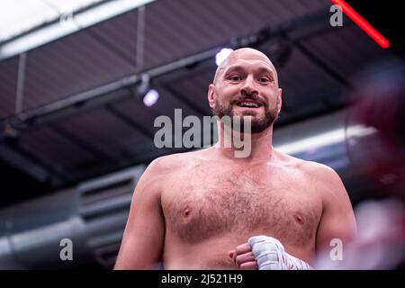 Londra, Inghilterra, Londra, Inghilterra, Regno Unito. 19th Apr 2022. LONDRA, INGHILTERRA - APRILE 19: Tyson Fury colpisce i pad e intrattiene la folla e i media durante l'allenamento Open Prior to Fury vs Whyte per il WBC Heavyweight Title il 19 Aprile 2022 al Wembley Stadium di Londra, Inghilterra, Regno Unito. (Credit Image: © Matt Davies/PX Imagens via ZUMA Press Wire) Foto Stock