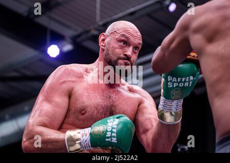 Londra, Inghilterra, Londra, Inghilterra, Regno Unito. 19th Apr 2022. LONDRA, INGHILTERRA - APRILE 19: Tyson Fury colpisce i pad e intrattiene la folla e i media durante l'allenamento Open Prior to Fury vs Whyte per il WBC Heavyweight Title il 19 Aprile 2022 al Wembley Stadium di Londra, Inghilterra, Regno Unito. (Credit Image: © Matt Davies/PX Imagens via ZUMA Press Wire) Foto Stock