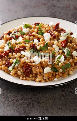 Insalata dietetica a base di farro, feta, pomodori secchi e pinoli da vicino in un piatto sul tavolo. Verticale Foto Stock