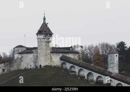 Città medievale di Schaffhausen e la sua fortezza Munot Foto Stock