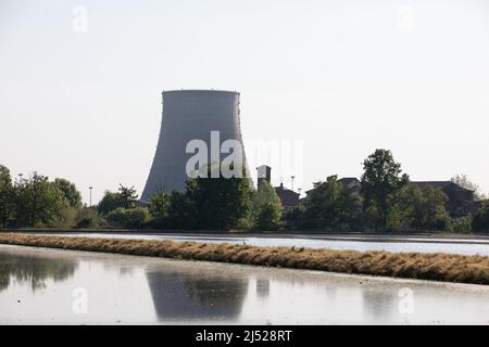 Campi di riso nella zona vercelese Foto Stock
