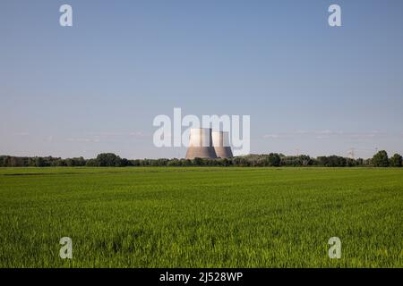Campi di riso nella zona vercelese Foto Stock